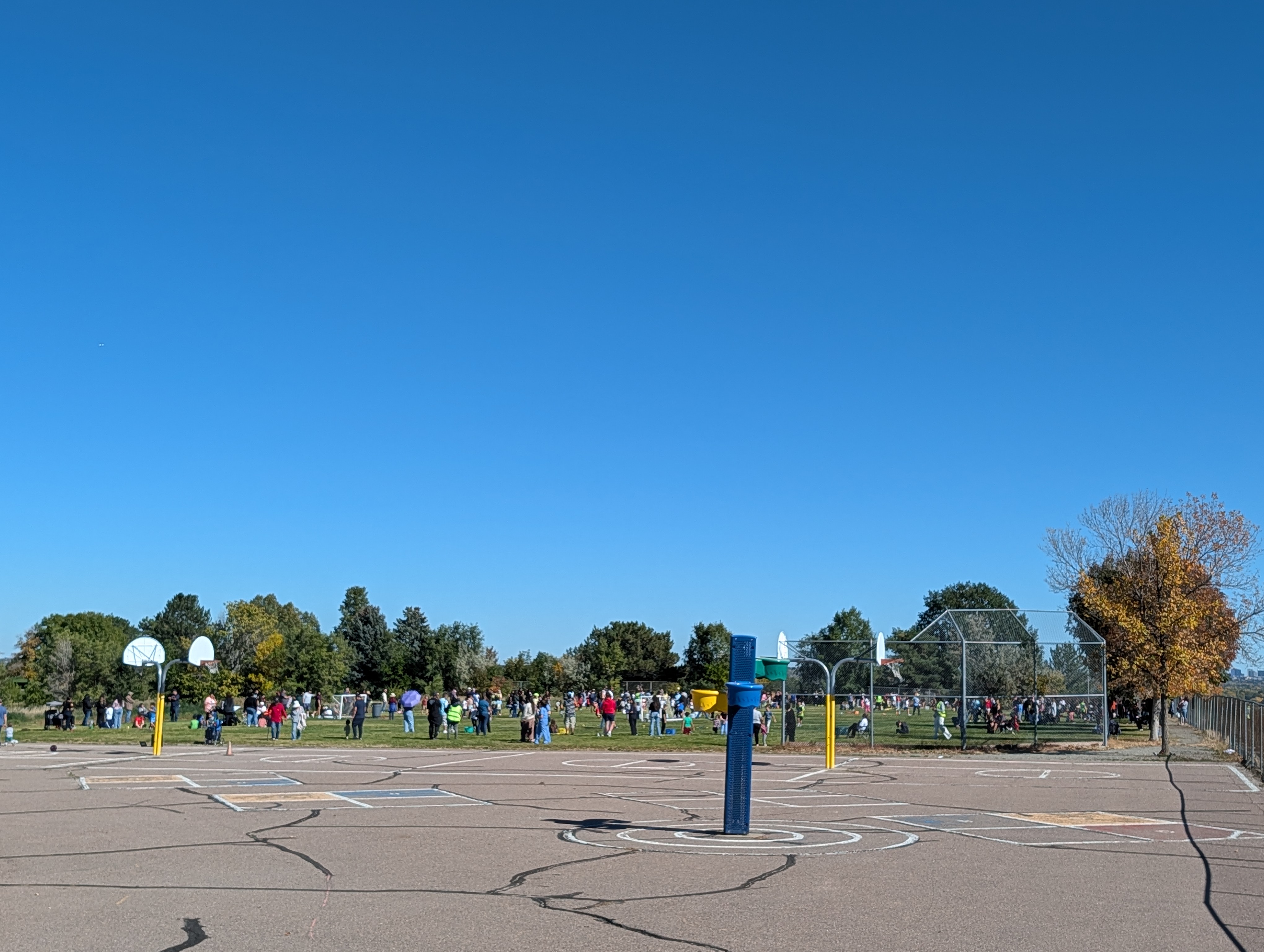 Field Day!