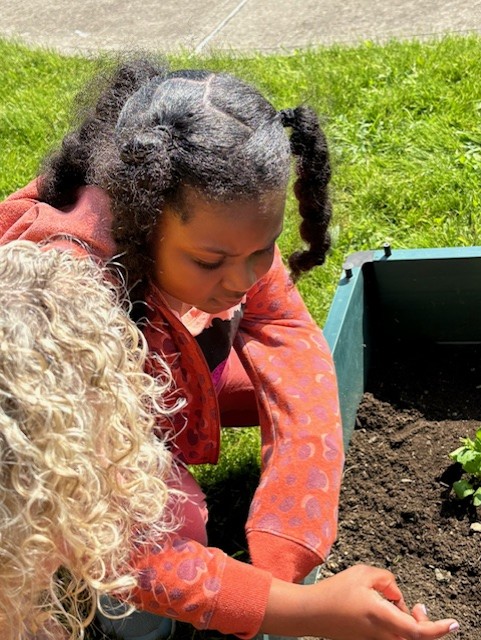 Students planting