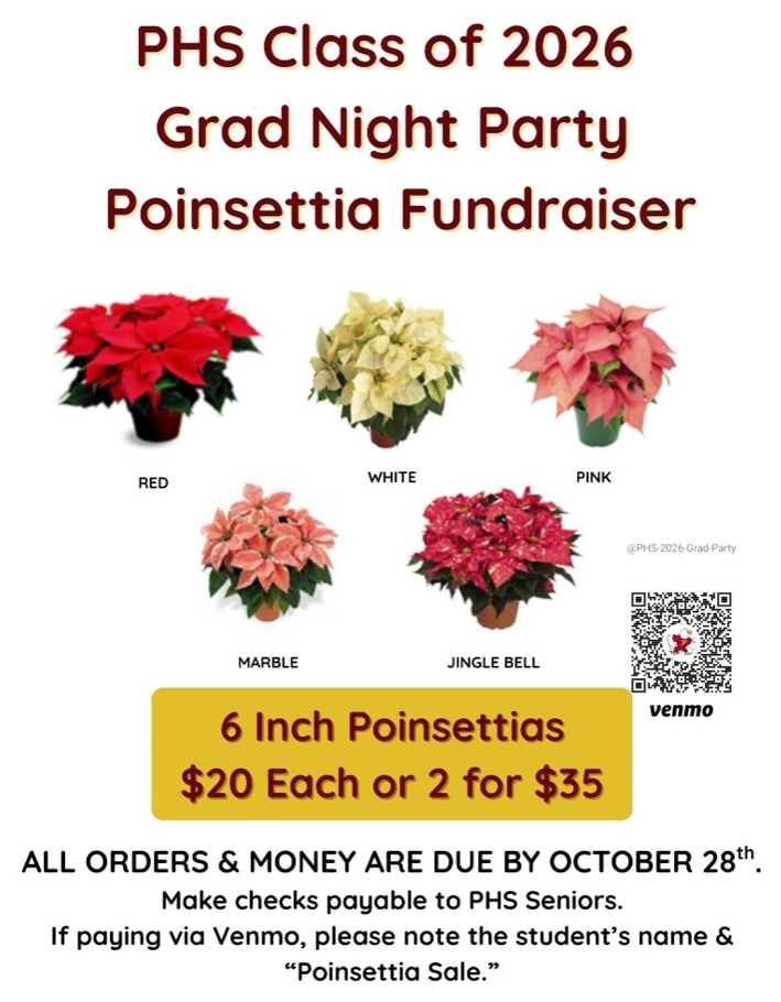 poinsettias