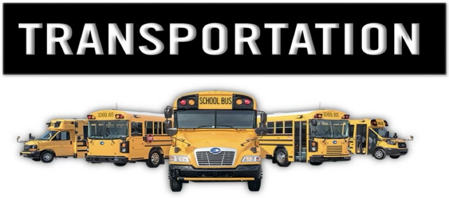 Transportation graphic with school buses