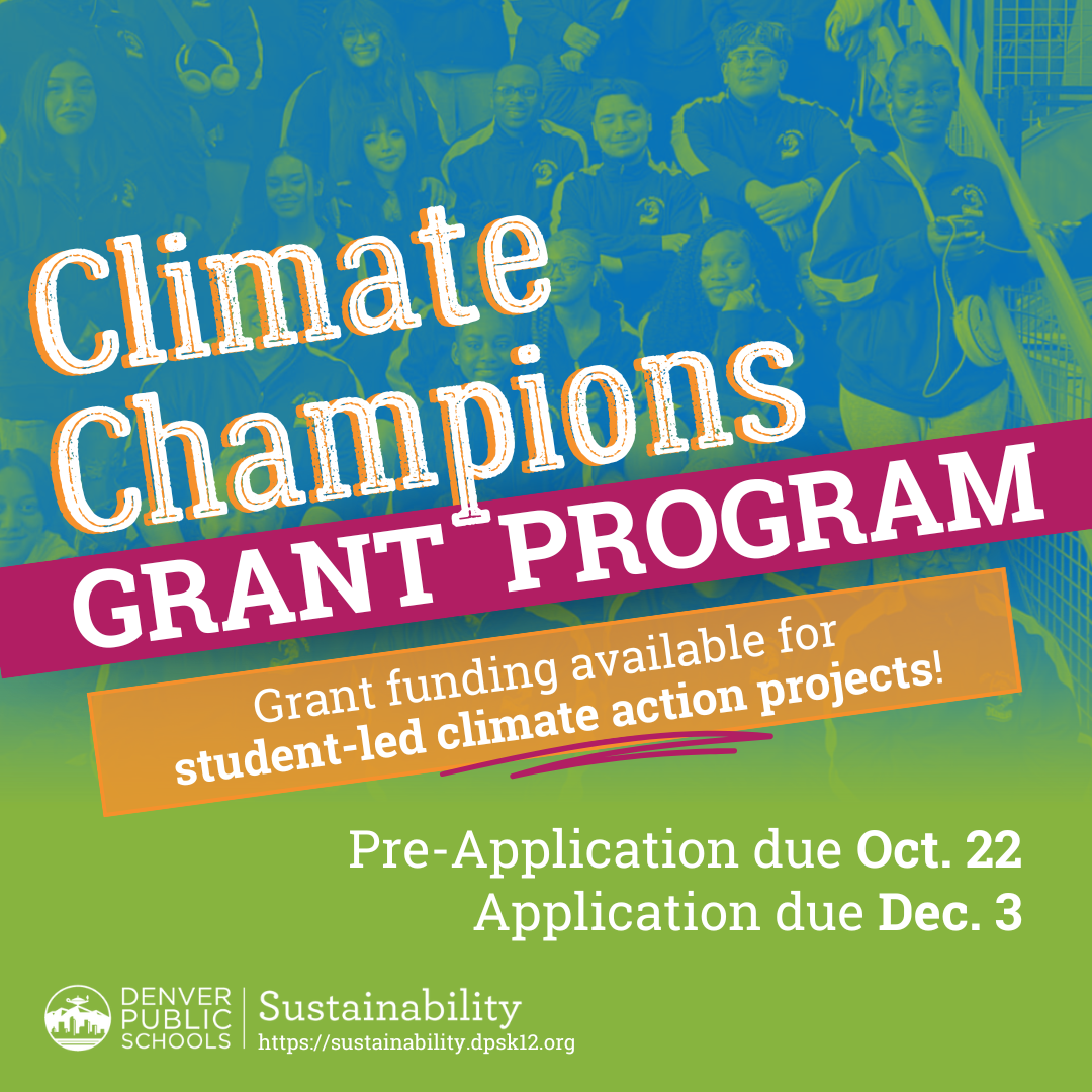 Climate Championis flyer