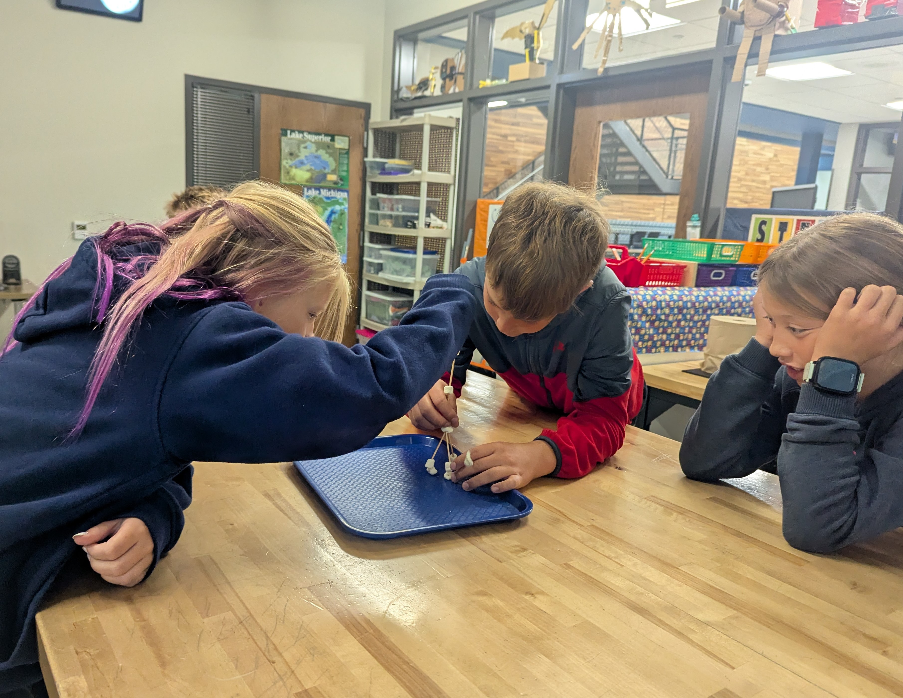 MS Newsletter - September 2025