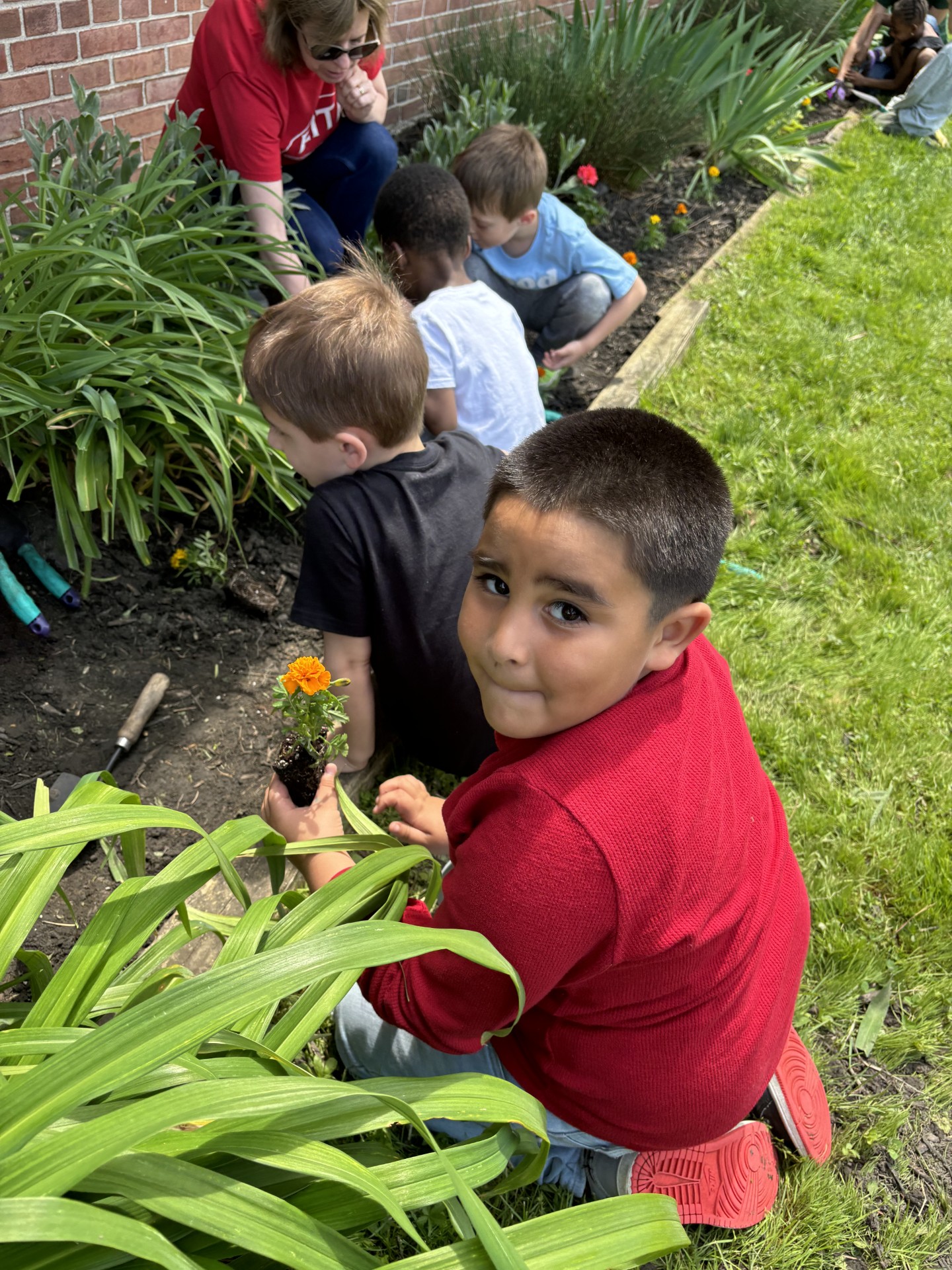 Students gardening