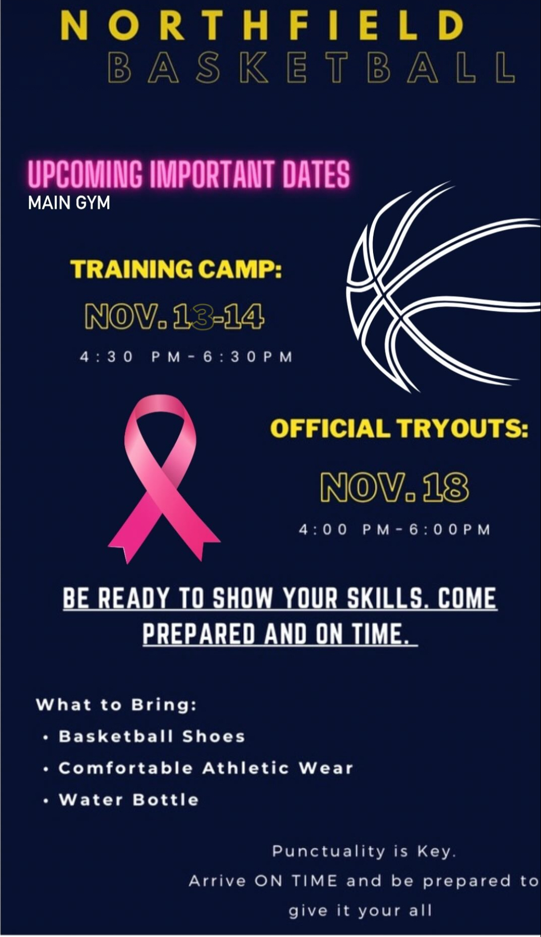 Basketball training camps