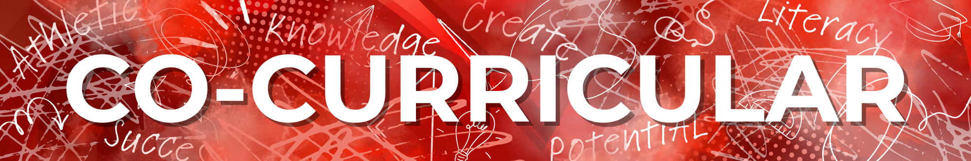 co-curricular banner
