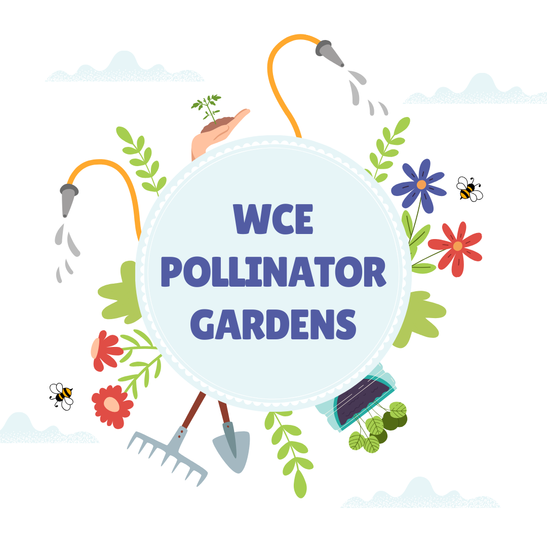 wce pollinator gardens
