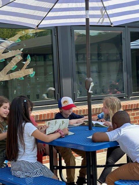 Students reading outside