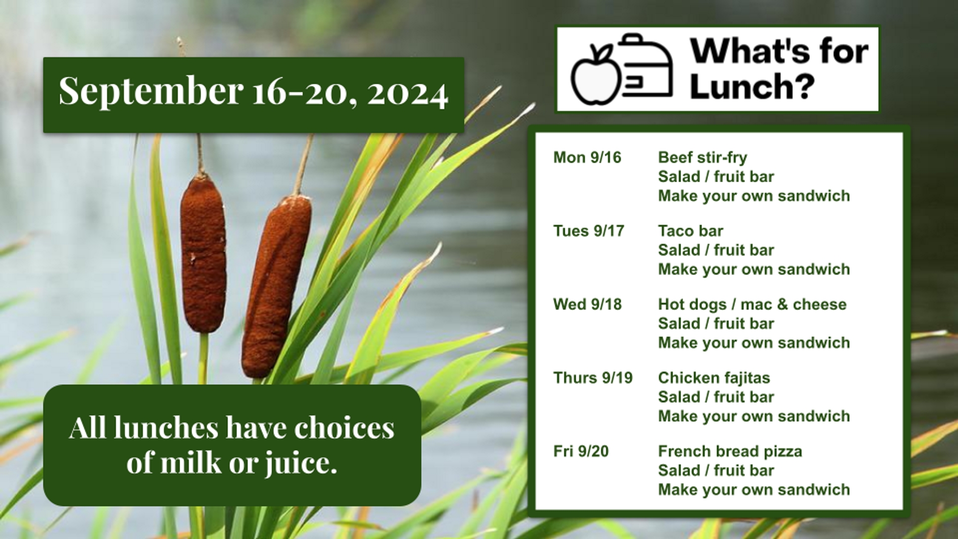 Lunch Menu for the week of September 16