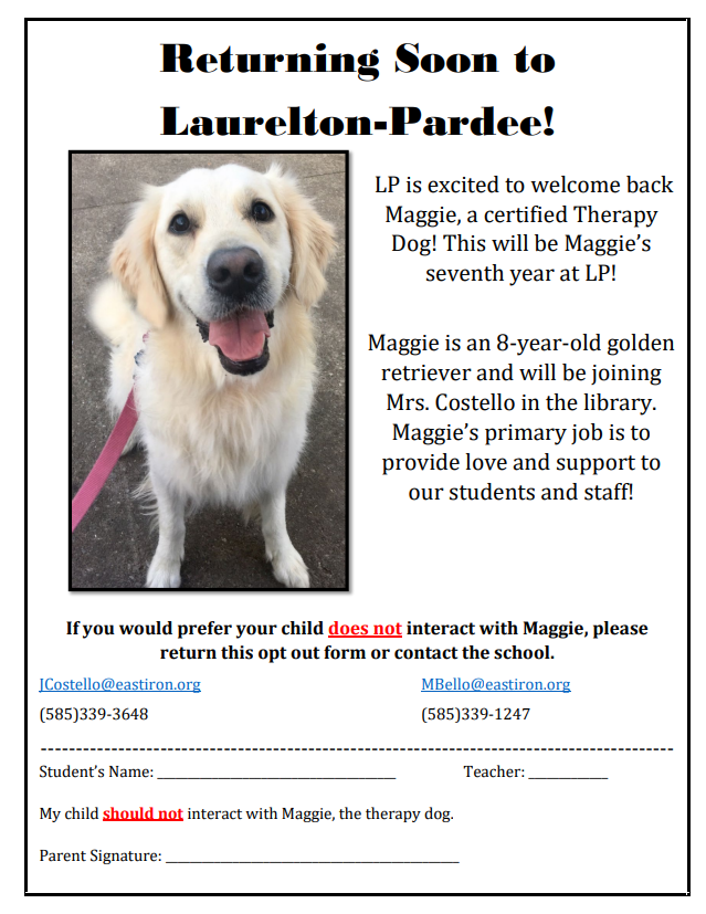Therapy Dog, Maggie
