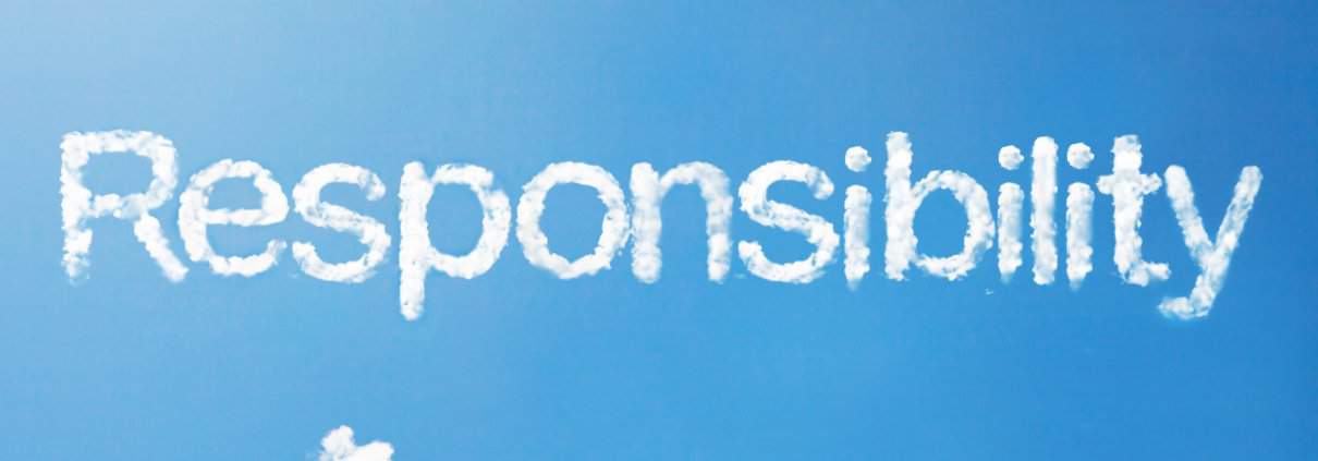 resposibiltiy