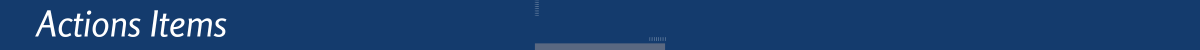 Action Items Header