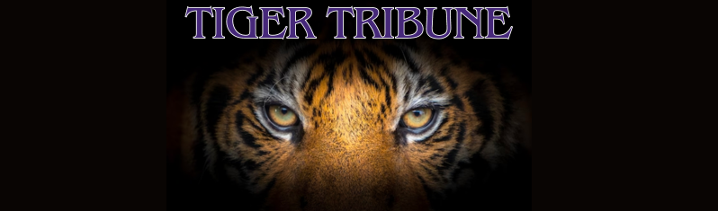 Tiger Tribune August 12, 2024