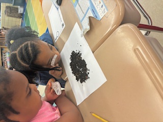 Students exploring worms