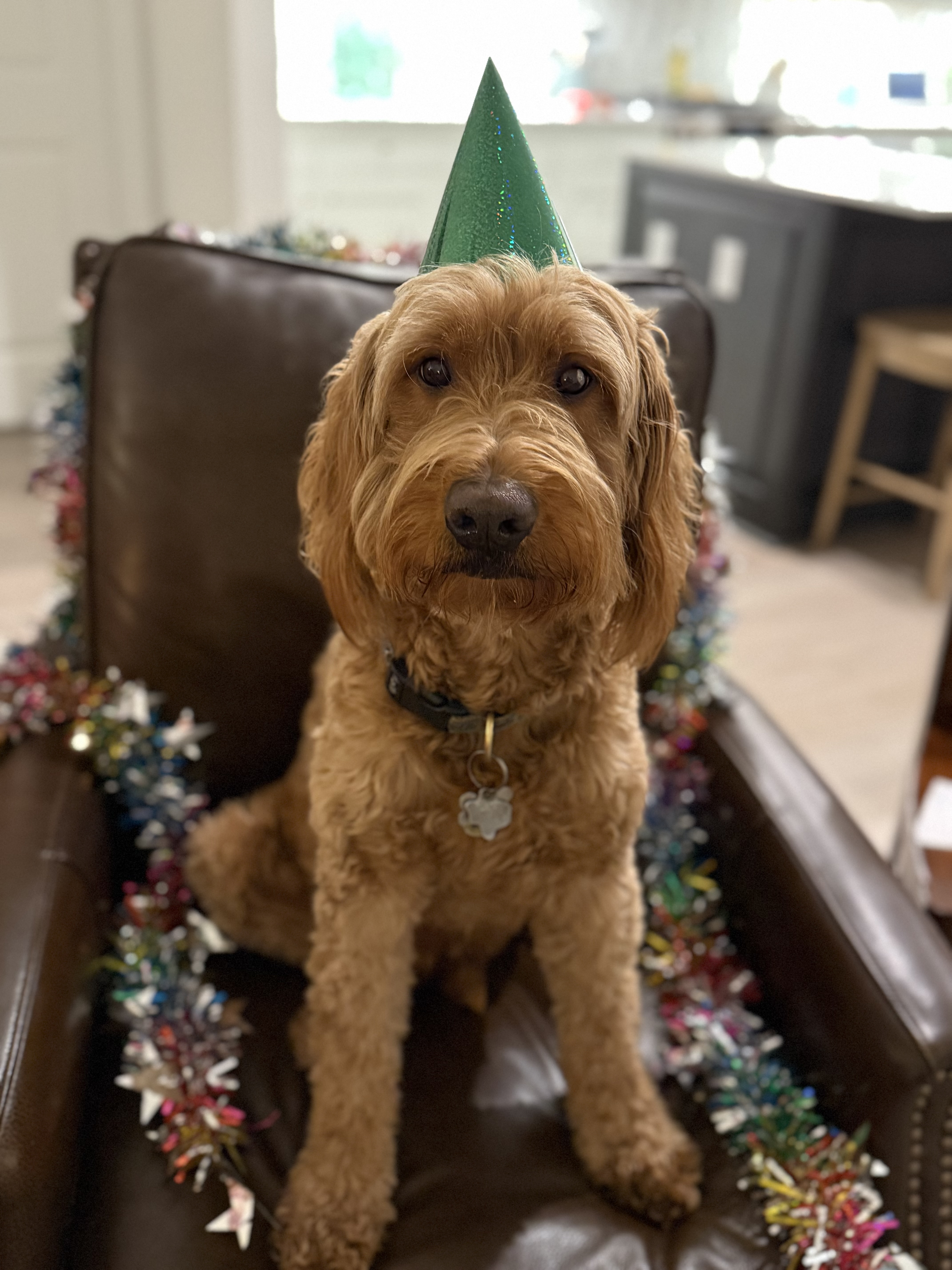 HBD George