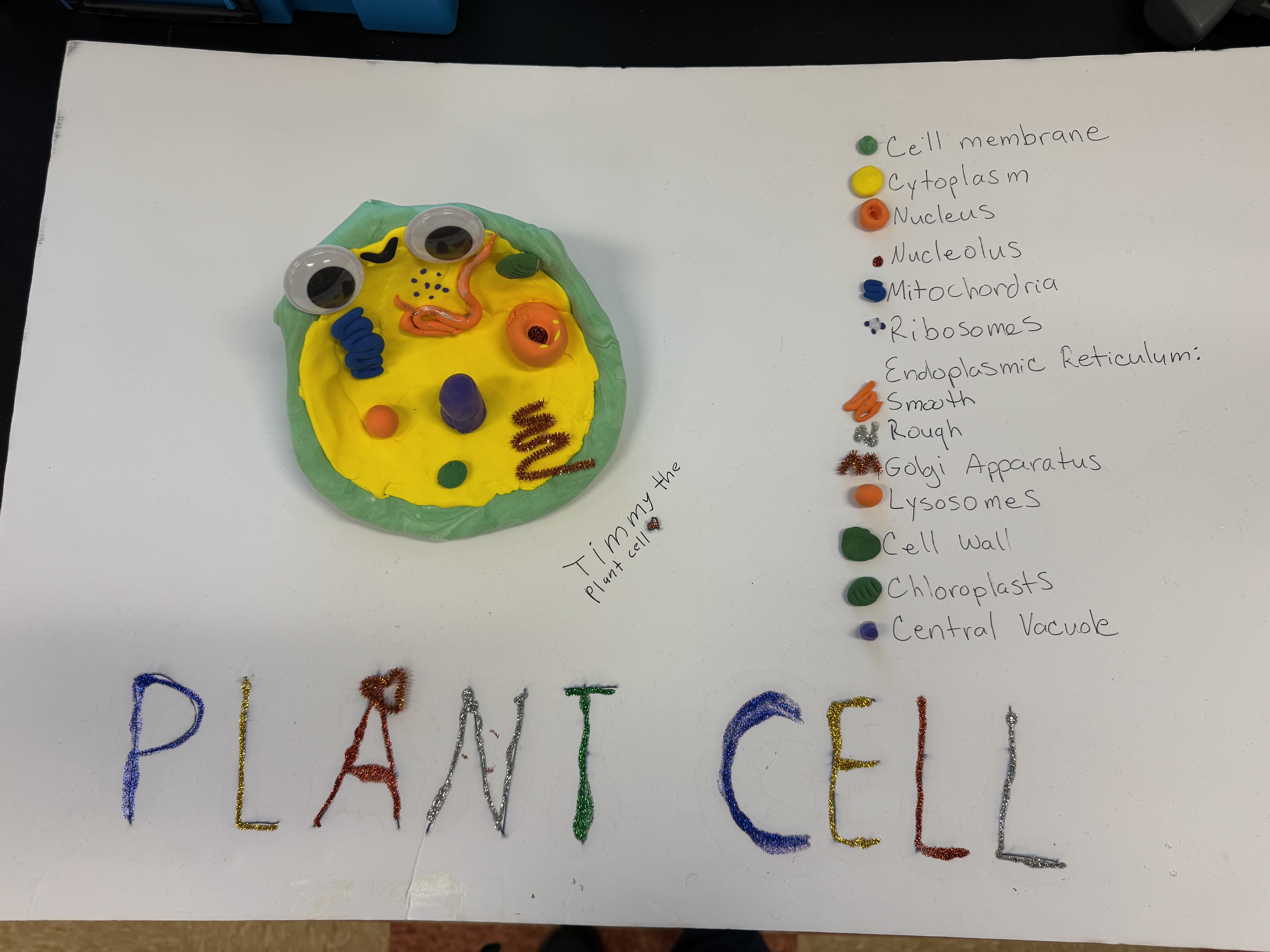 Miss S. Cook - Science