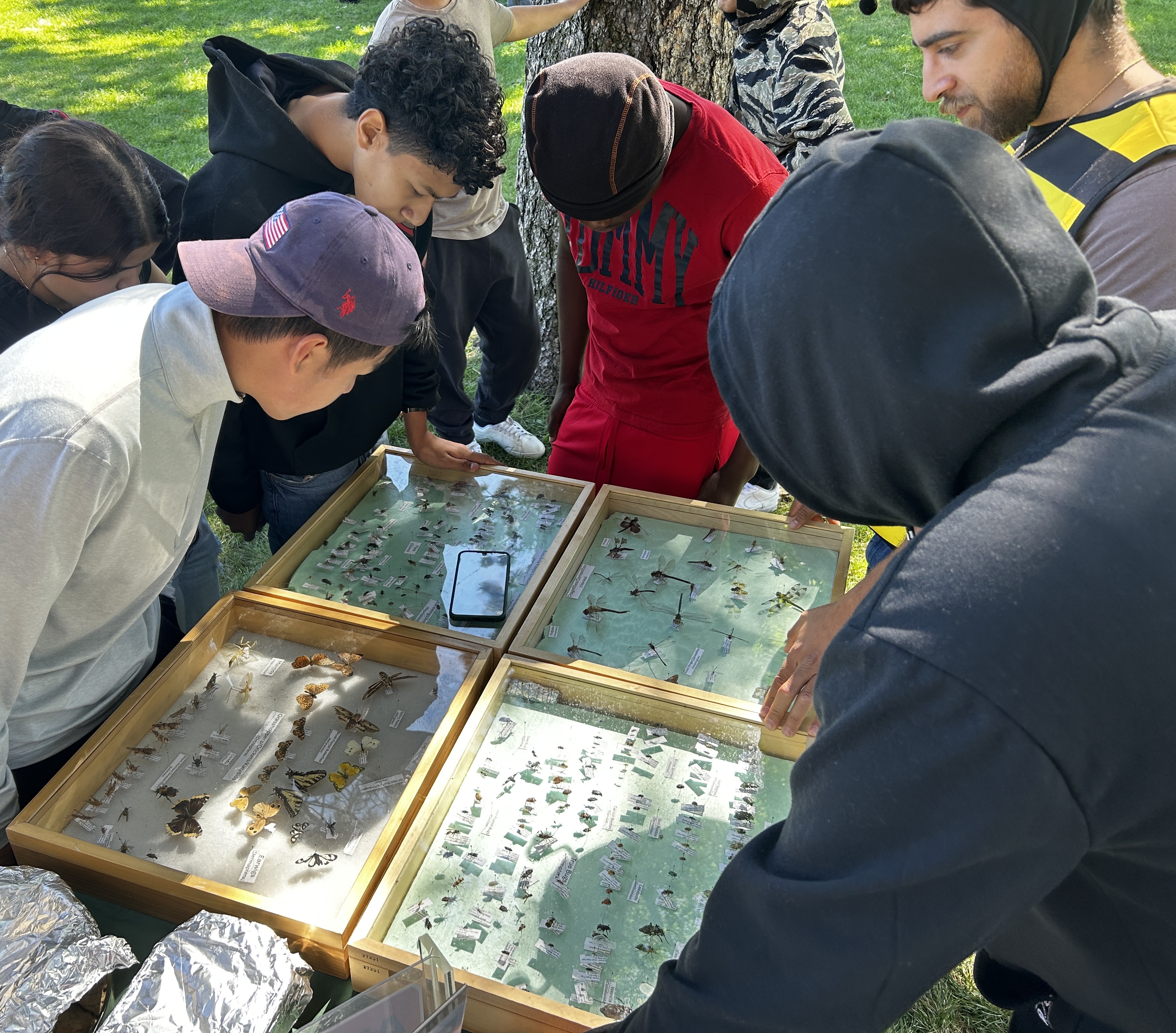 students learning from an entomologist