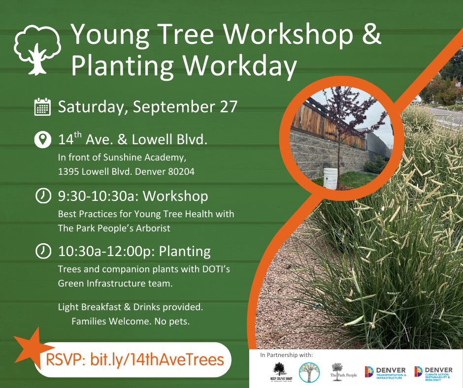 Young Tree Workshop Flyer