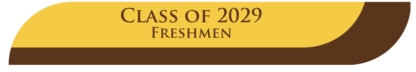 2029