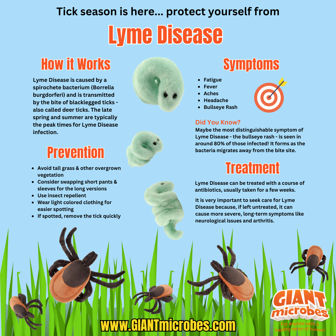 Lyme Disease Info