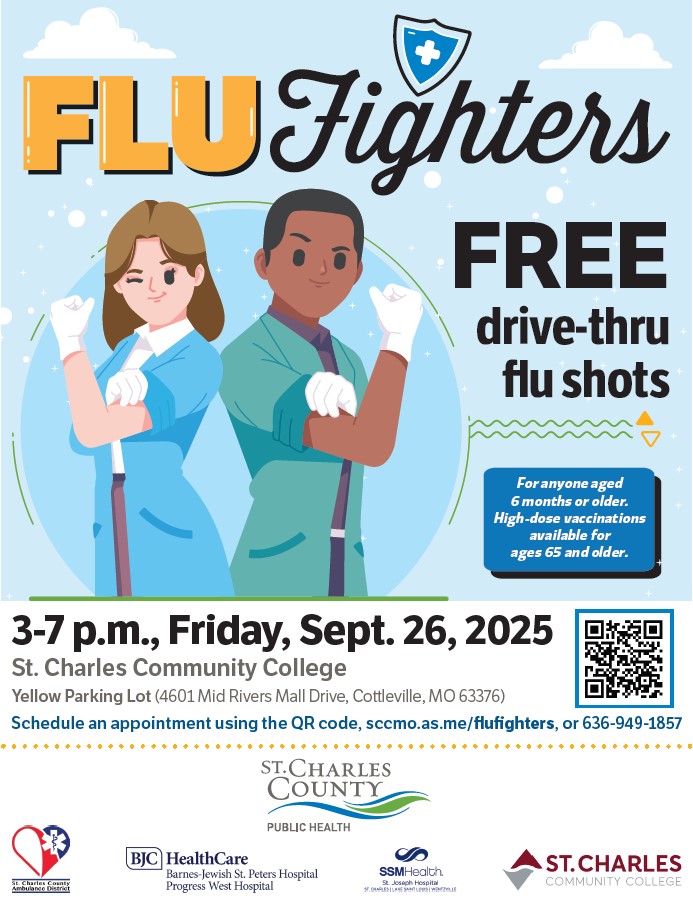 Flue Fighters 