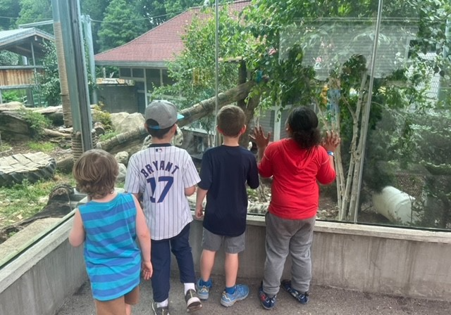 Kids at the zoo