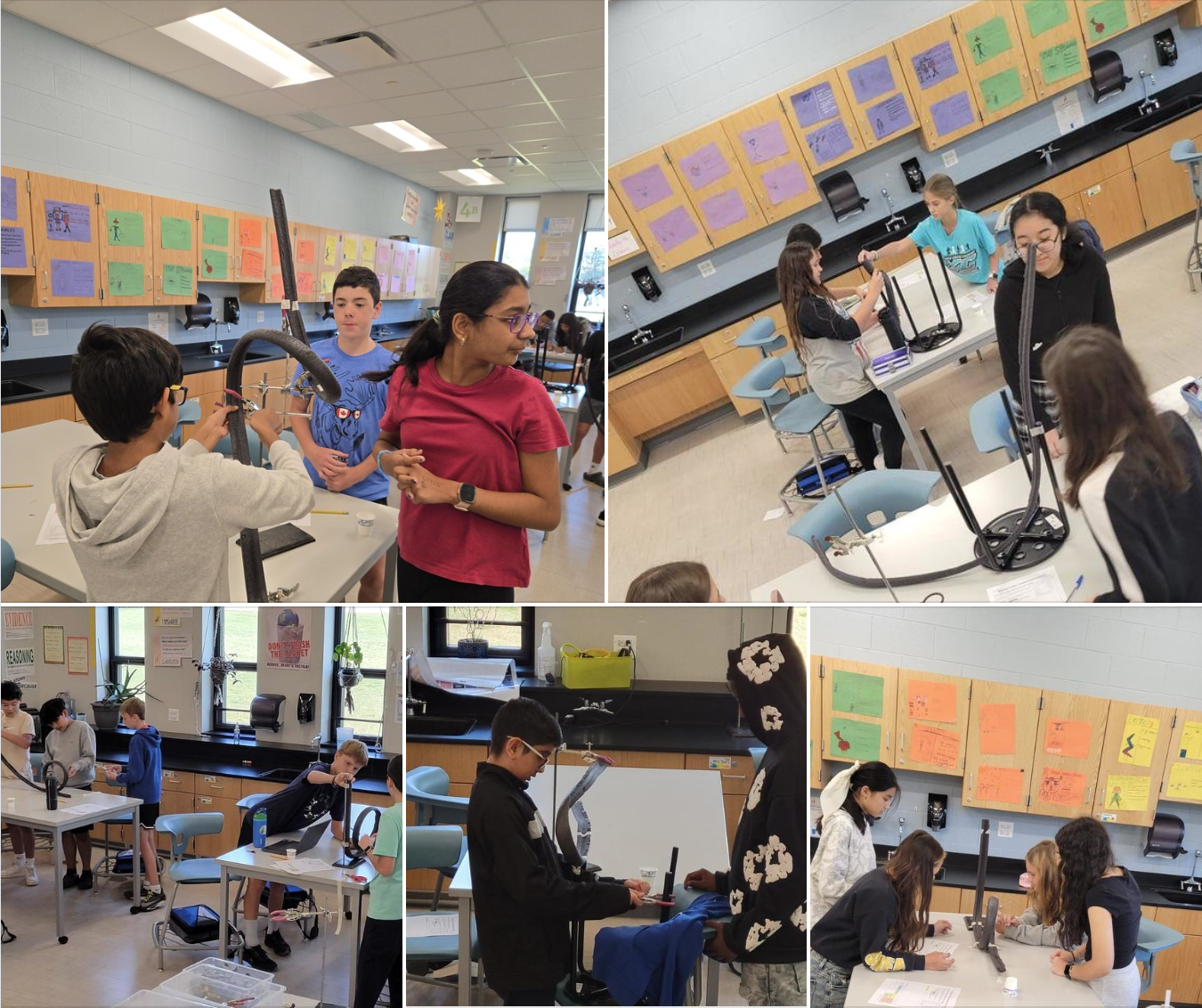 Collage of science activities