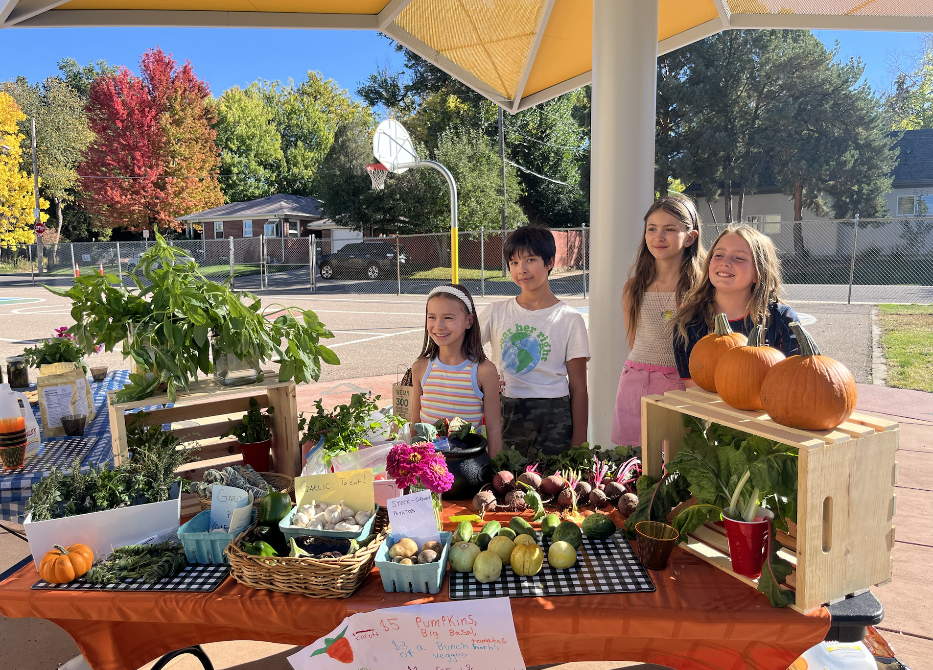 garden club final sale