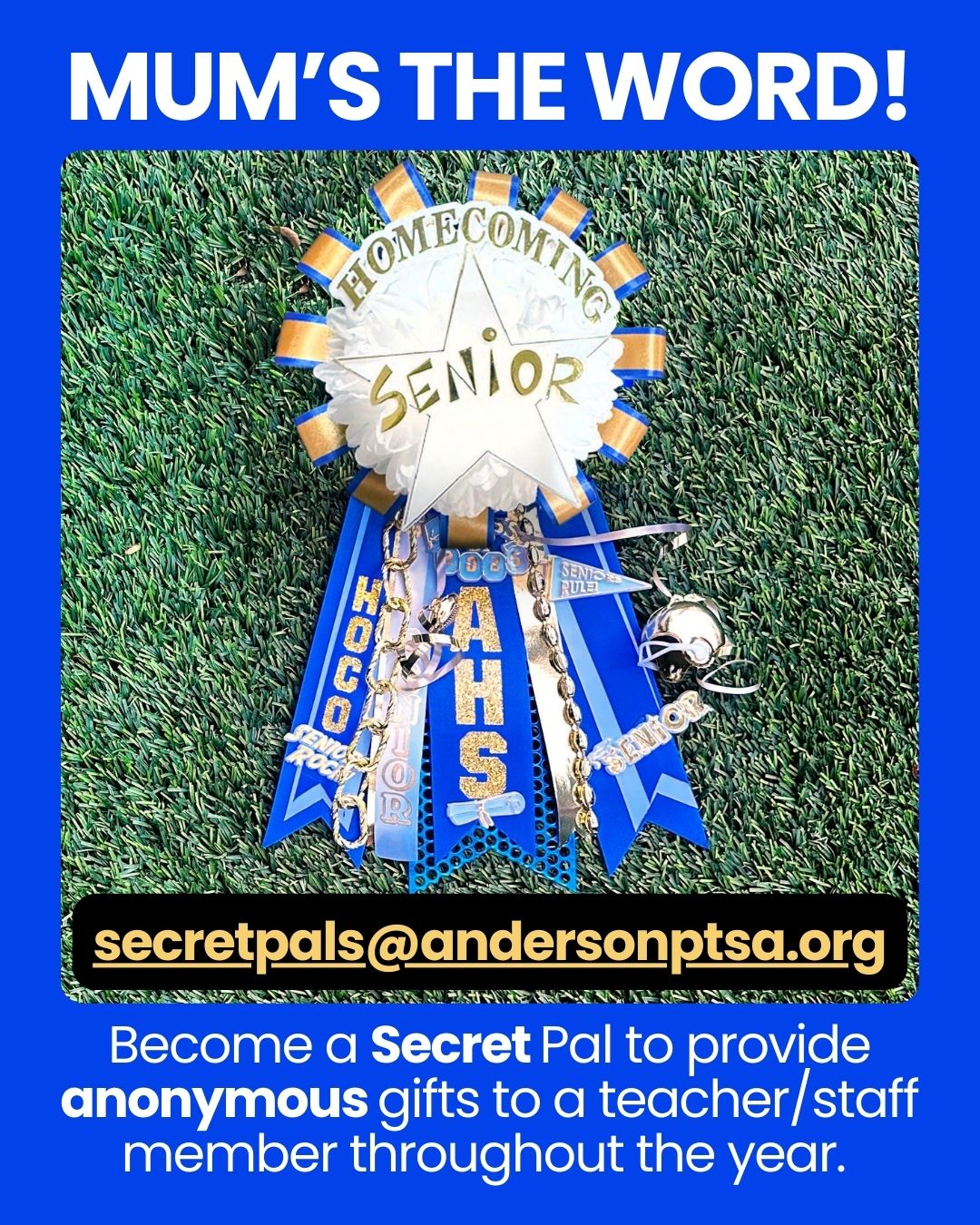 secret Pals Graphic
