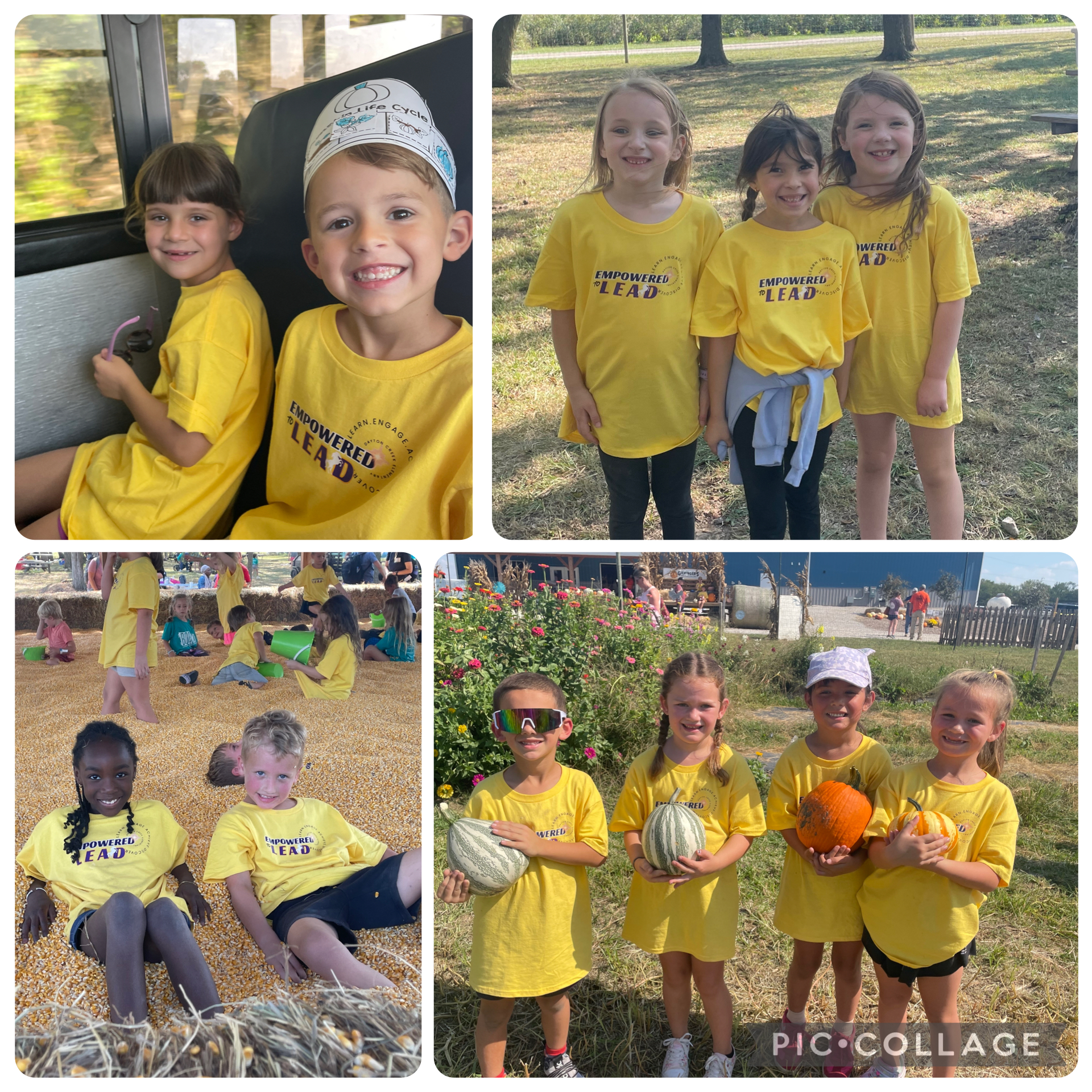 1st Grade Pumpkin Patch