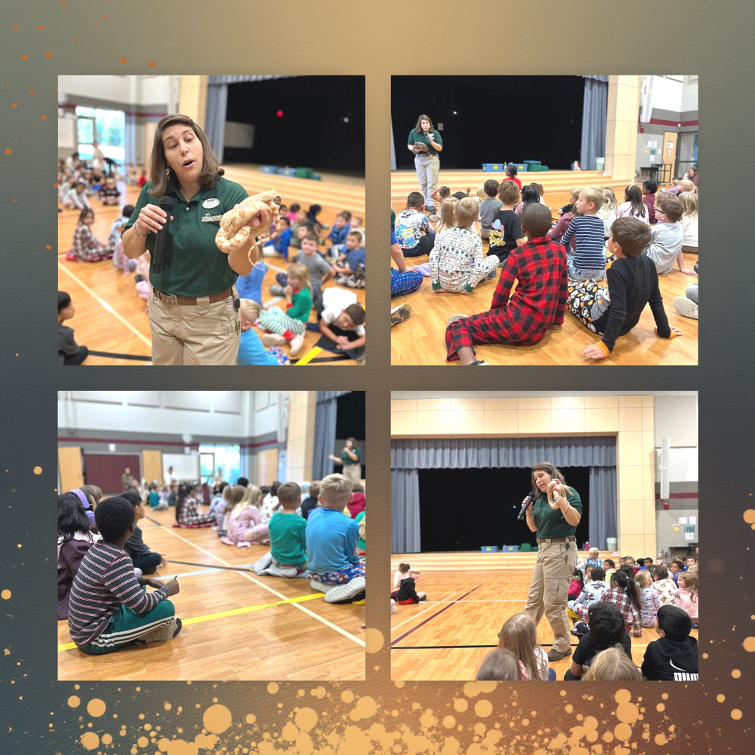 Pictures of Zoo America Assembly