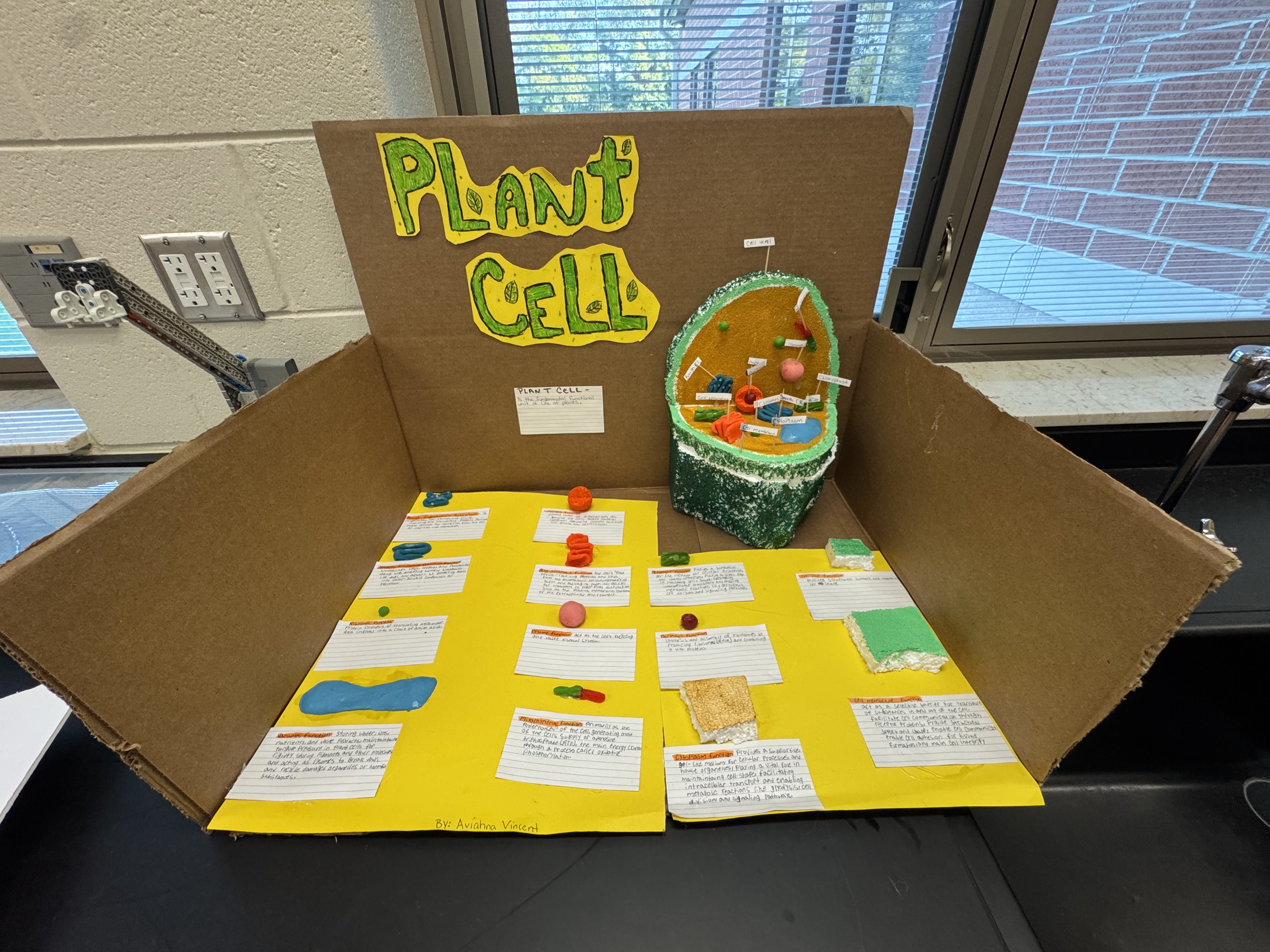 Miss S. Cook - Science