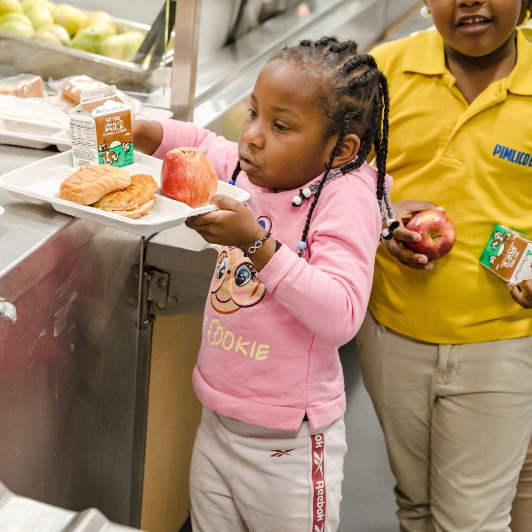 school lunch 
