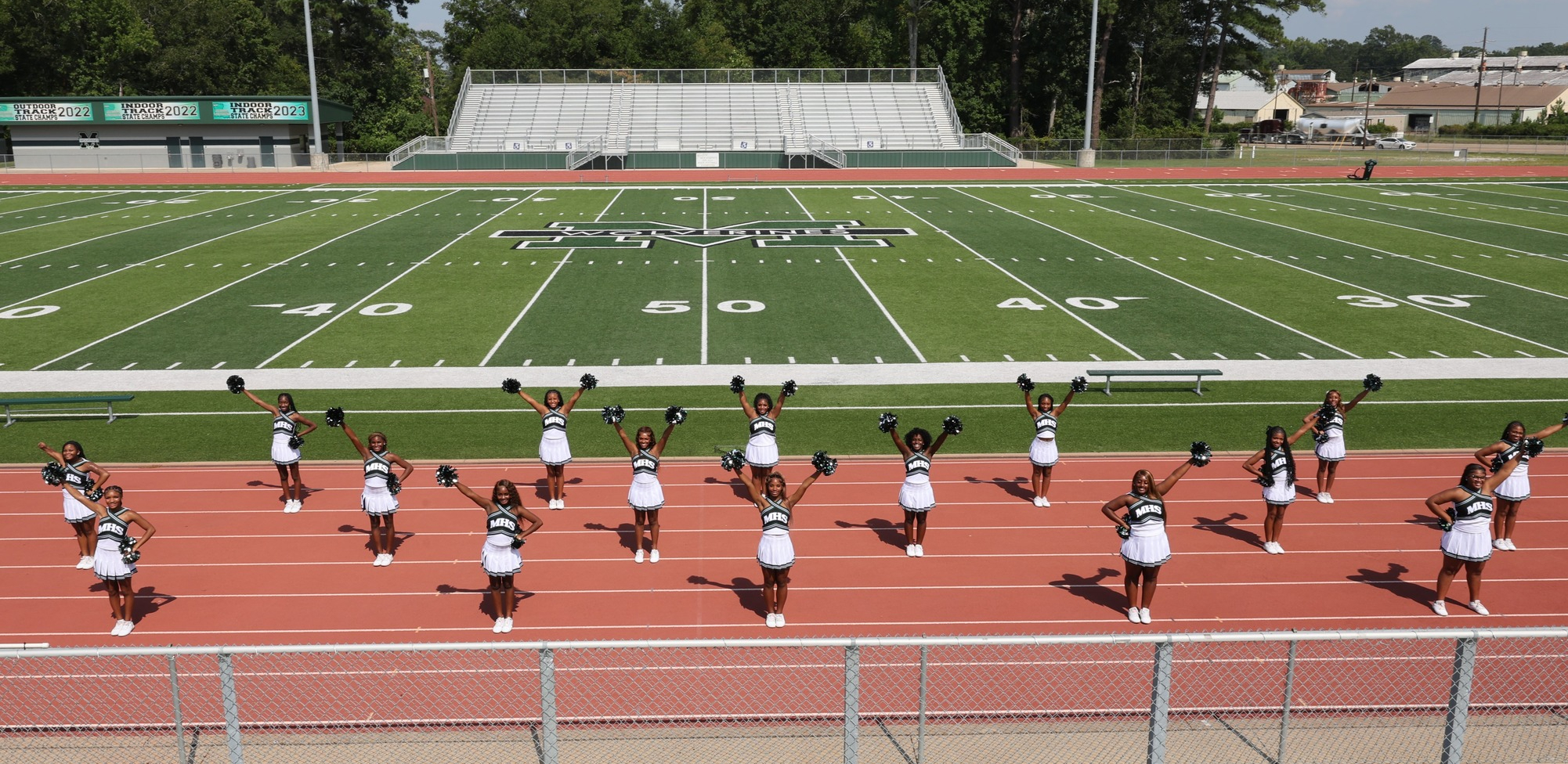 Week 5- Newsletter