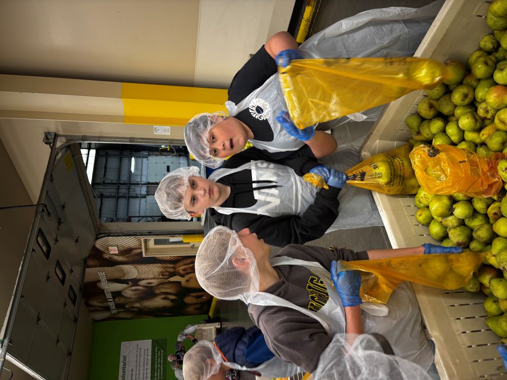 6th graders bagging pears at the food bank