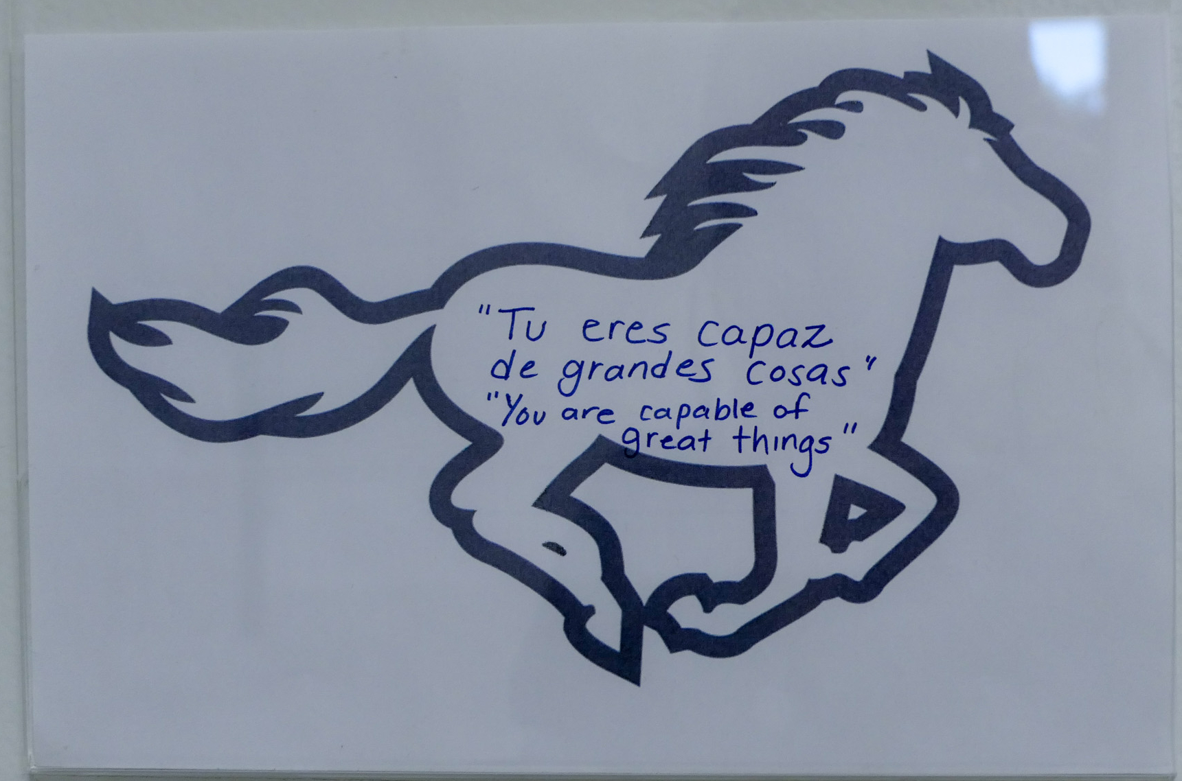 A teacher wrote the advice: You are capable of great things" inside the outline of a stallion. 