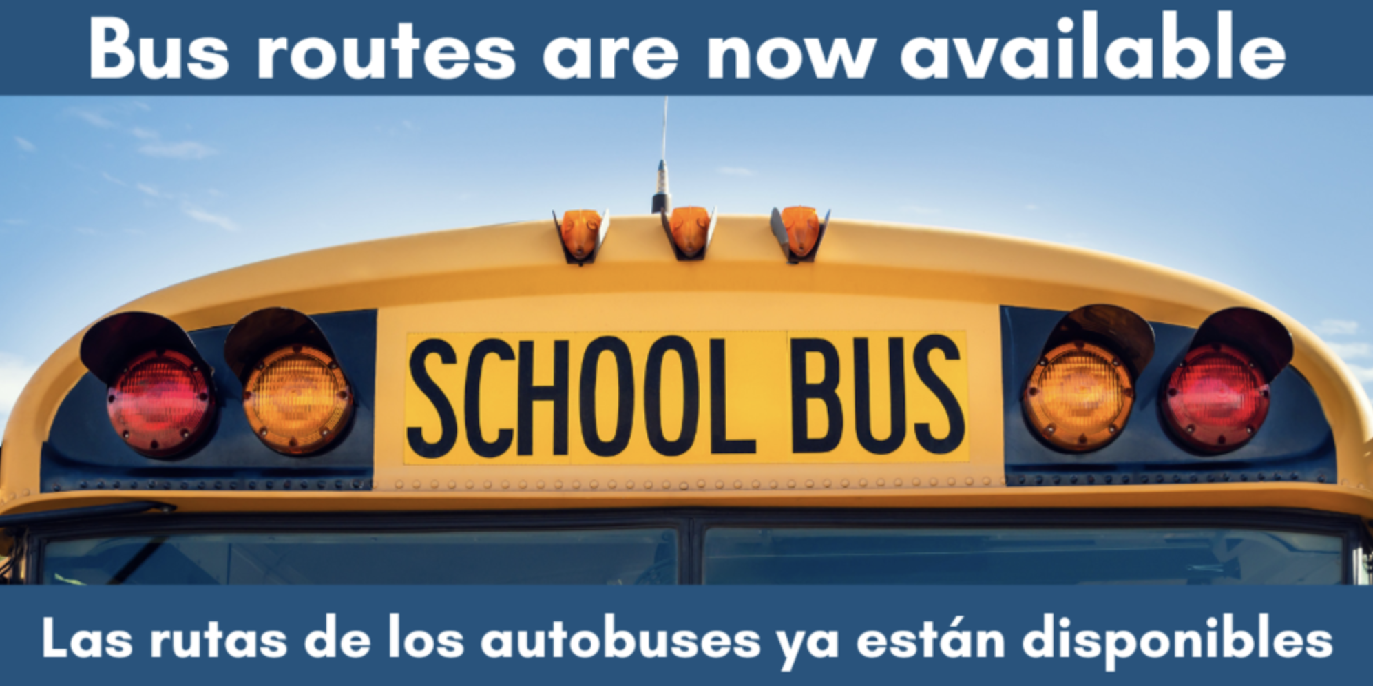 Bus routes are now available