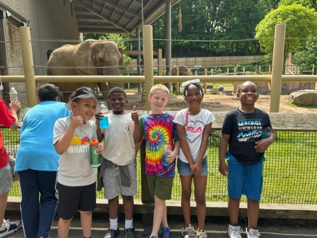 Students in front of elephants