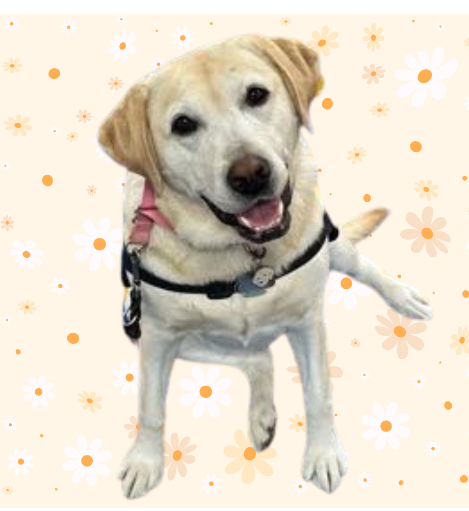 Daisy