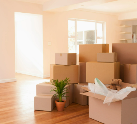 moving boxes in living room