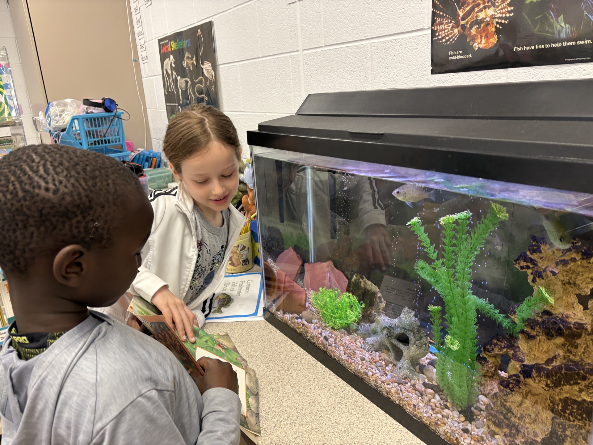 Bass in the Class Program