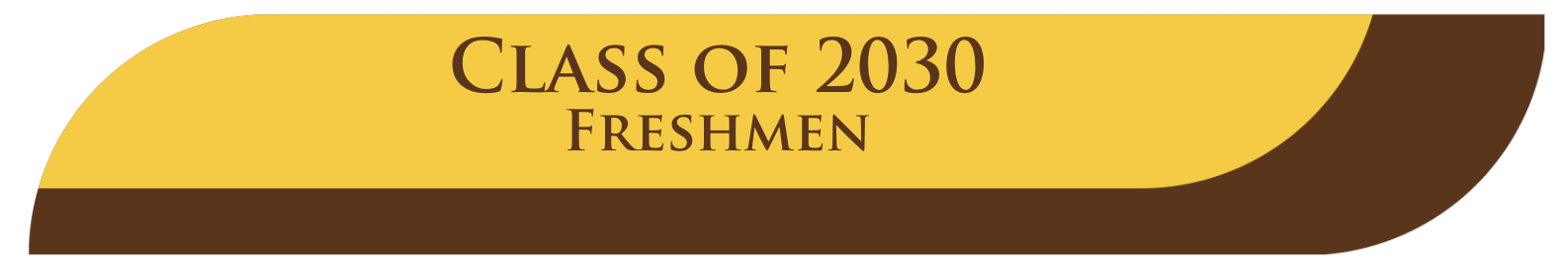 2029