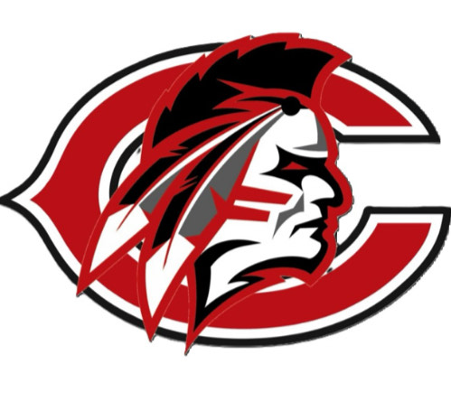 Wise Central High School logo