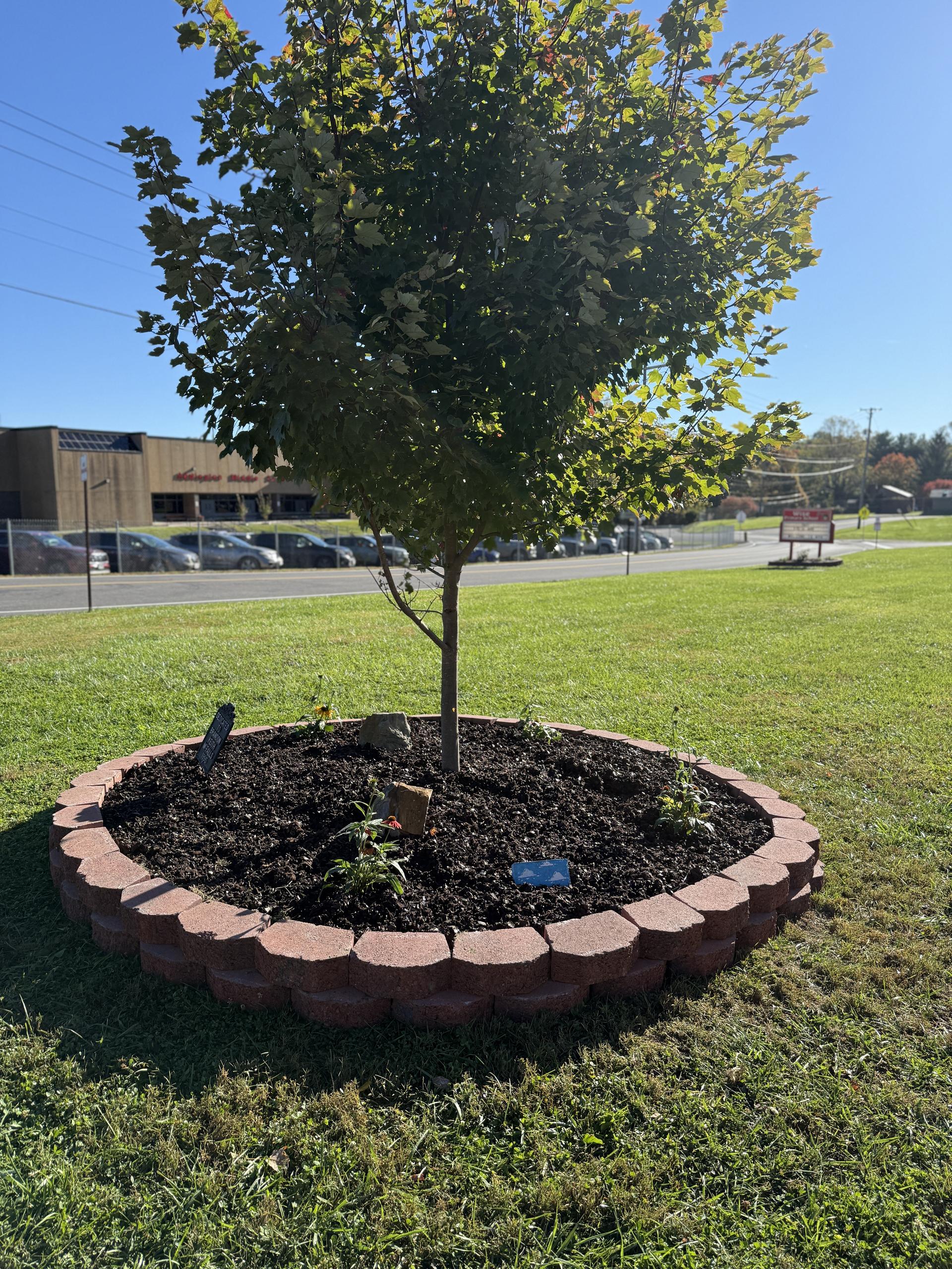Lowe's spread rubber mulch around a tree