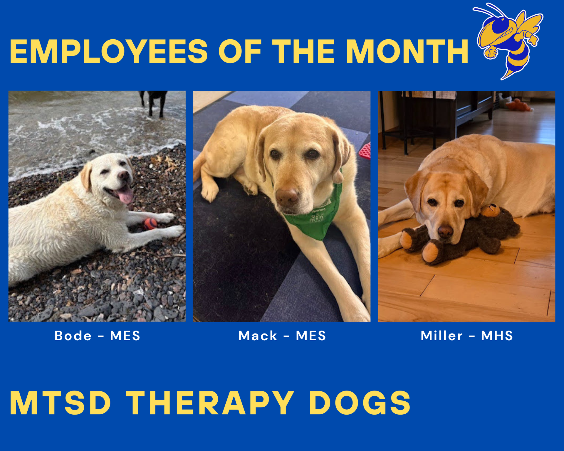 Employees of the Month 