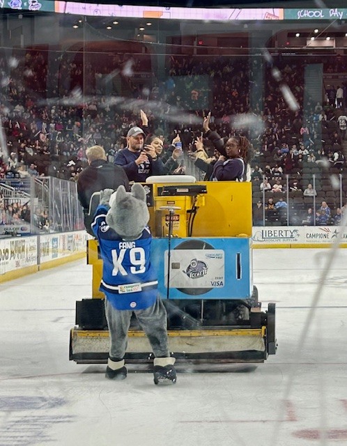 The Zamboni as it glides across the ice