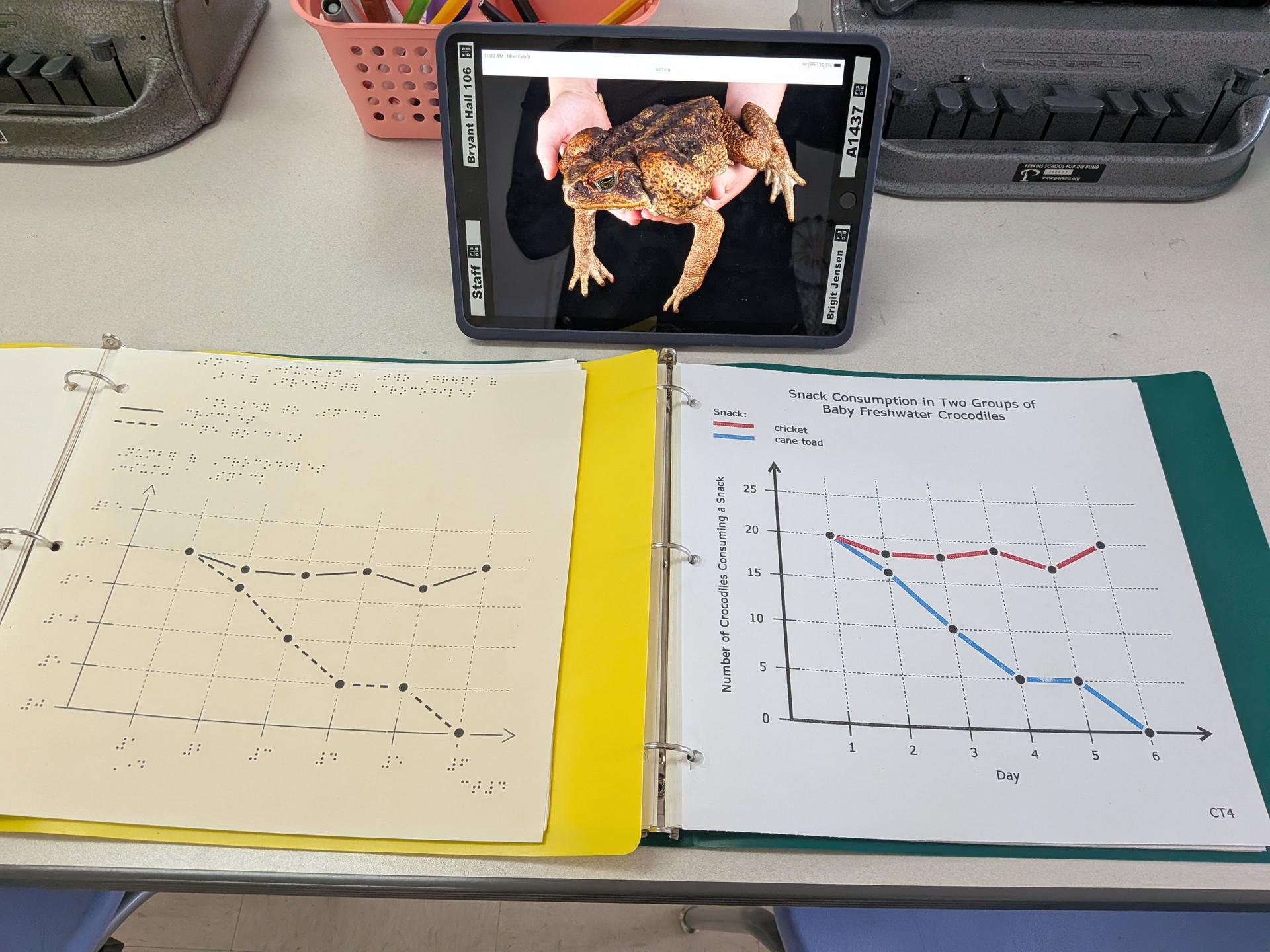 noebook with tactile data displays; an iPad with a large photo of a cane toad sits behind the graphs