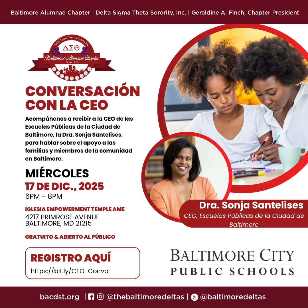 Folleto - Comité Directivo de Acceso Multilingüe