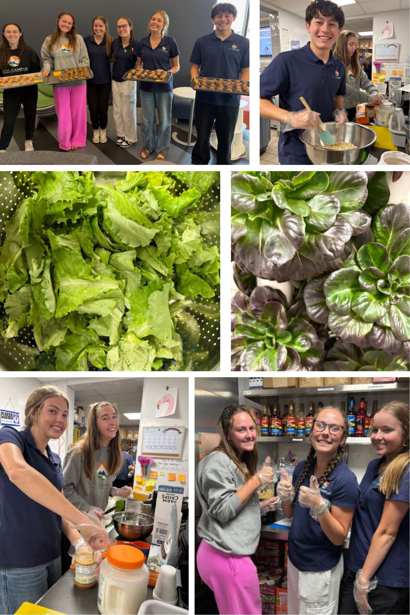 From harvesting fresh, hydroponic greens to hand-rolling protein bites, our students are gaining hands-on experience in the kitchen. It’s all about teamwork, healthy ingredients, and building real-world skills at the EPIC Campus!