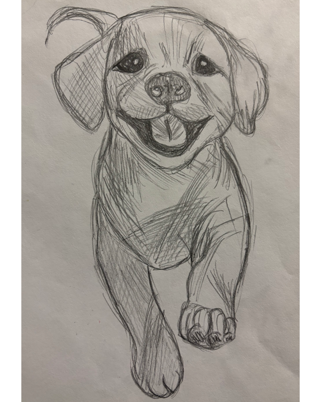 Sketch of a dog running