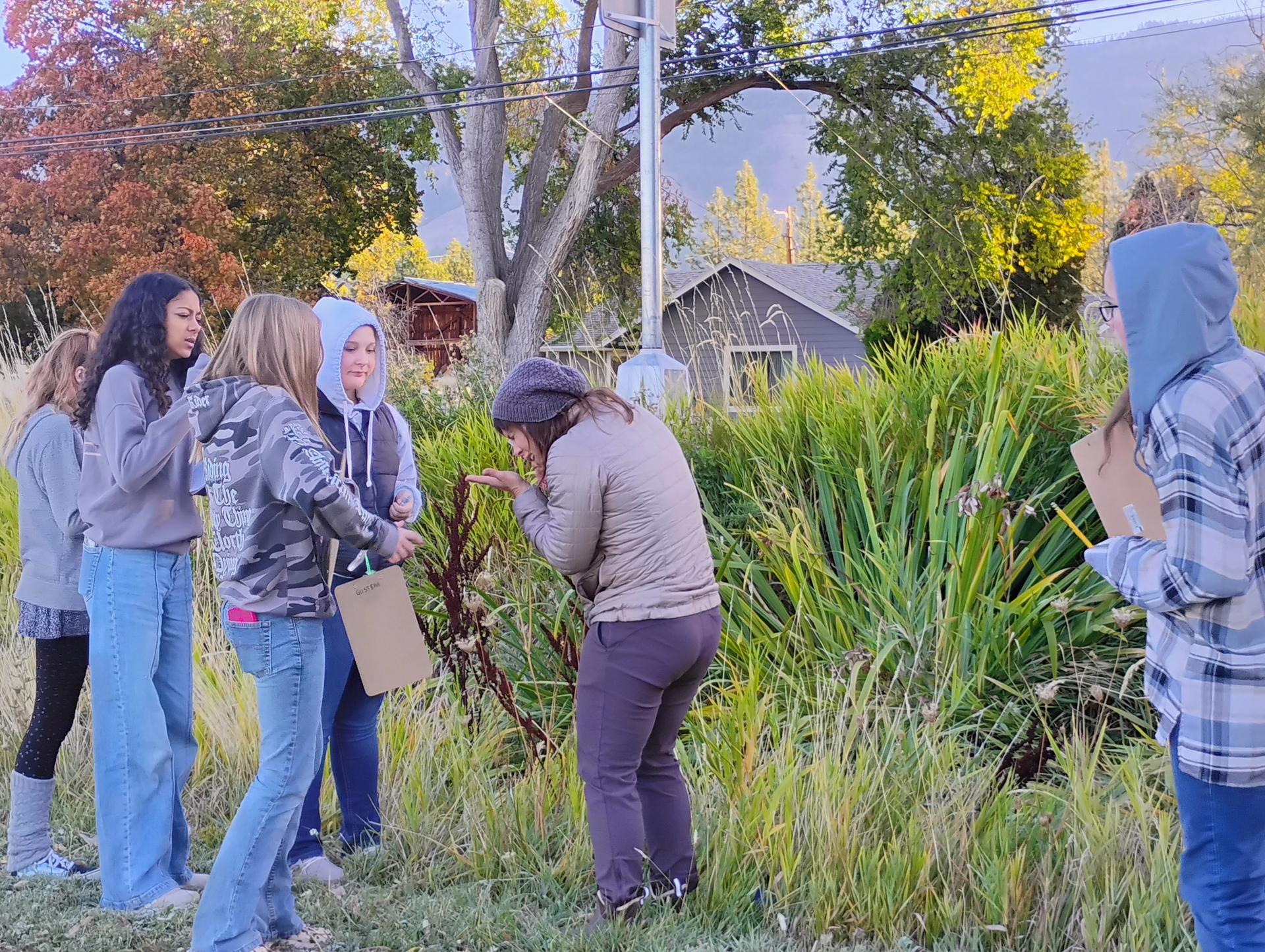 7th grade science class exploring with Carrie Castleton